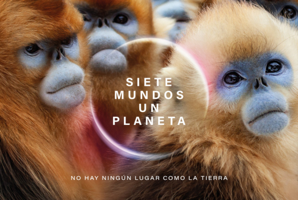 Siete mundos, un planeta