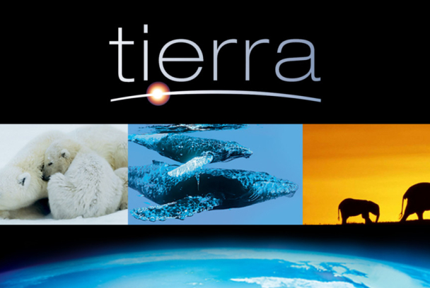 Tierra