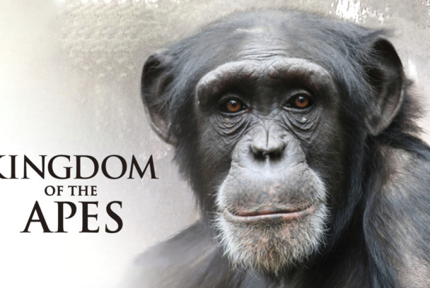 El reino de los simios