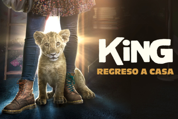 King, mi pequeño rey