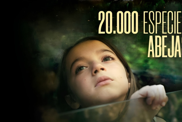 20.000 especies de abejas
