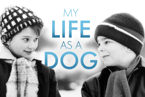 Mi vida como un perro