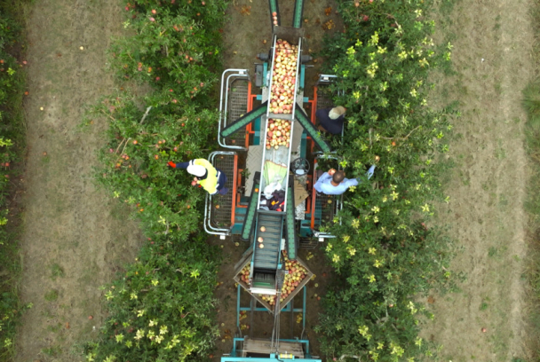 30 minuts: Som el que llencem