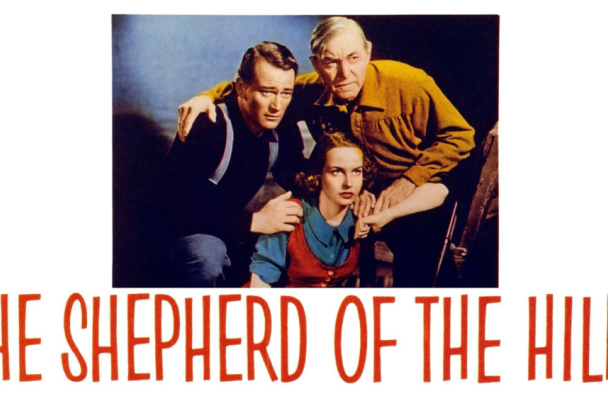 El pastor de las colinas