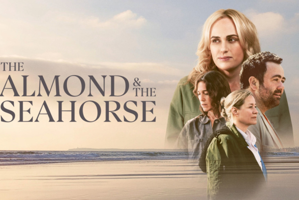 La almendra y el caballito de mar