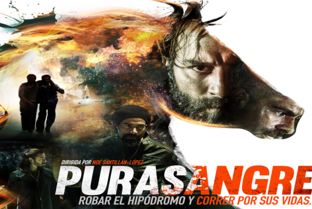 Purasangre