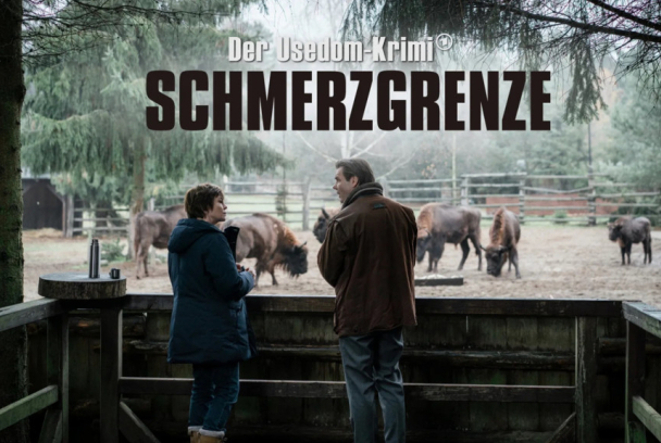 Crims al Bàltic: El límit del dolor