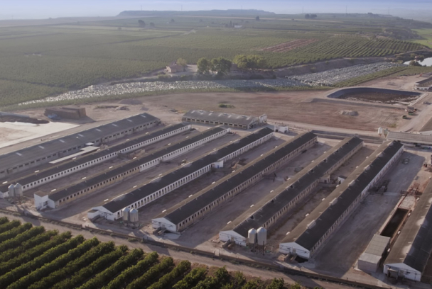 Nits Sense ficció: Porca misèria