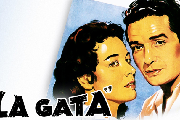 La gata