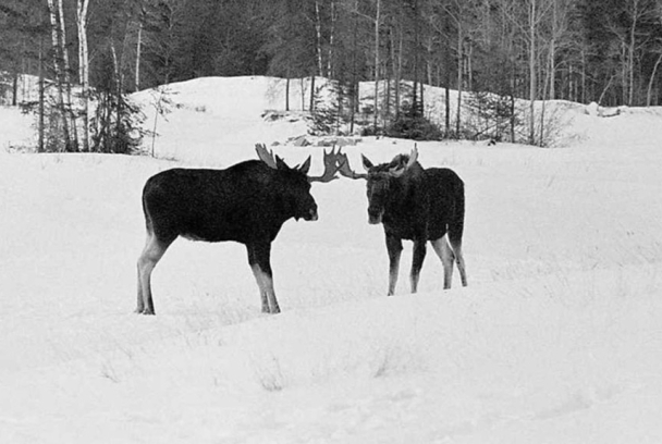  Un paraíso invernal