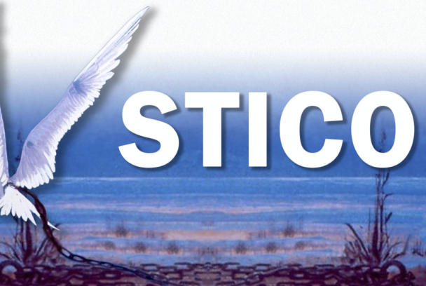 Stico