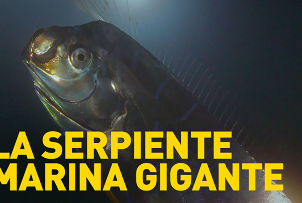 La serpiente marina gigante