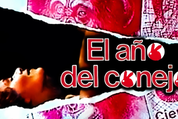 El año del conejo