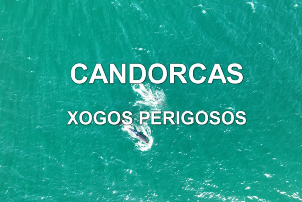 Candorcas: Xogos Perigosos
