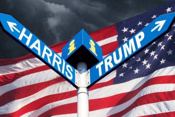 Camino a la Casa Blanca