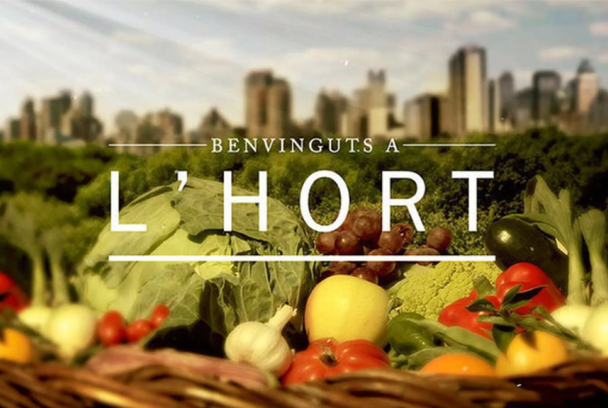 Benvinguts a l'hort