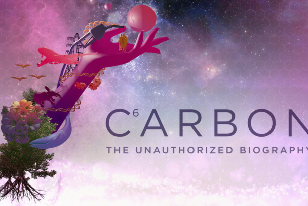 Carbono: biografía no autorizada