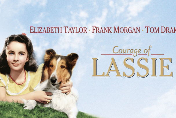 El coraje de Lassie