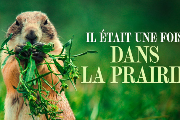 Il Etait une fois dans la Prairie