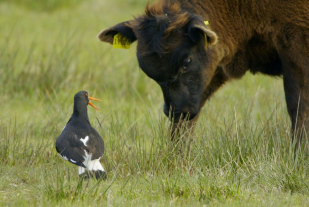Defender a la familia