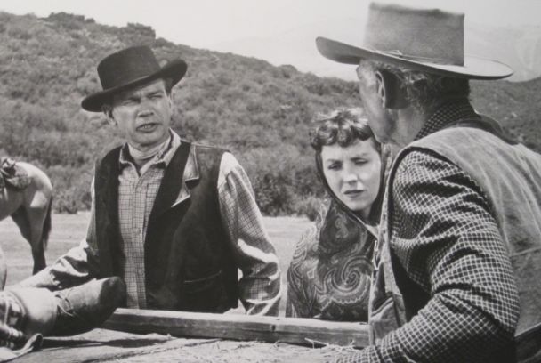 Cazador de forajidos