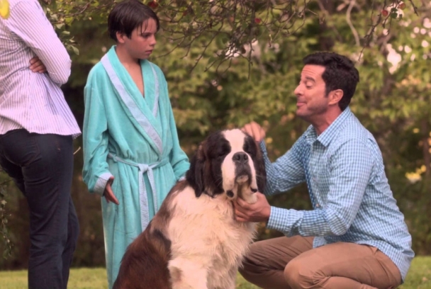 Beethoven 5, el perro buscatesoros