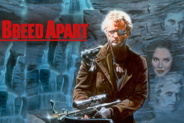 En busca del águila