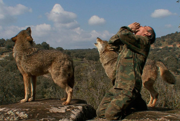 Marcos, el lobo solitario
