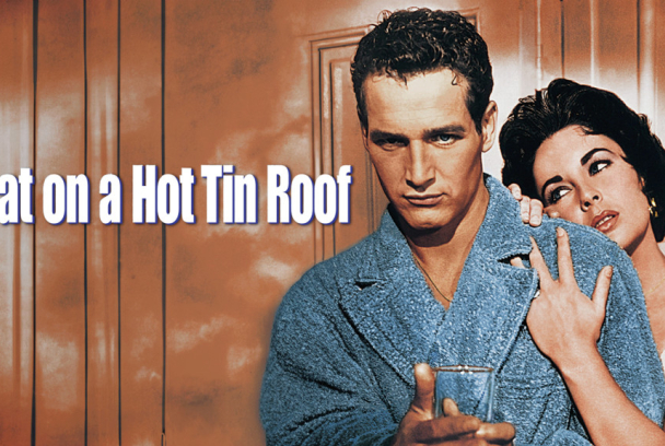 La gata sobre el tejado de zinc