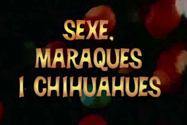 Sexe, maraques i chihuahues