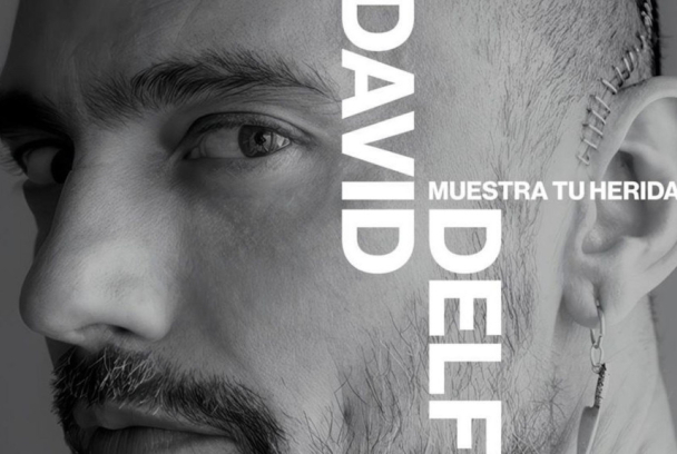 David Delfín. Muestra tu herida