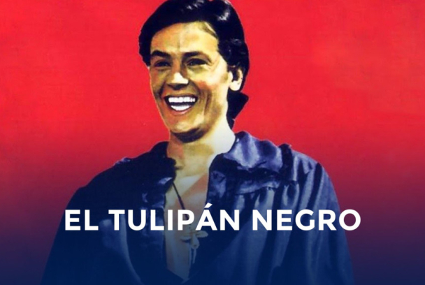 El tulipán negro