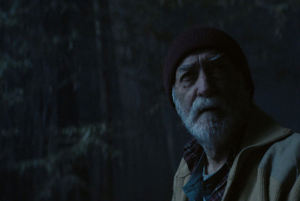 Donde se quejan los pinos