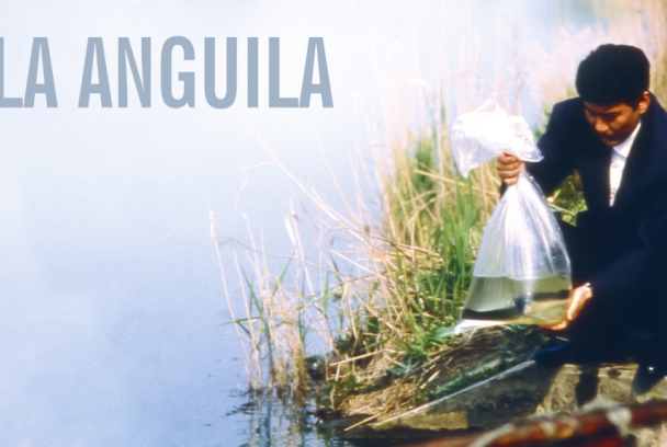 La anguila