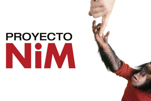 Proyecto Nim