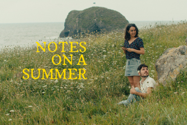 Notas sobre un verano