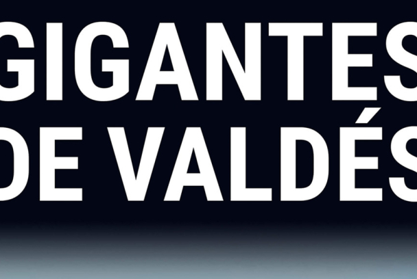 Gigantes de Valdés