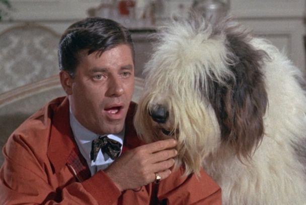 Lío en los grandes almacenes