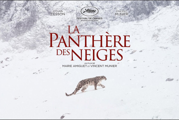 El leopardo de las nieves