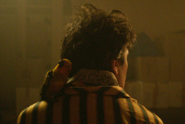 El cielo estrellado sobre mi cabeza