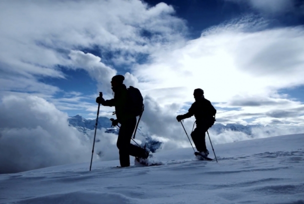 Los vigilantes del planeta