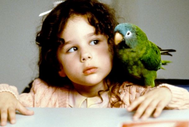 Paulie, un loro bocazas