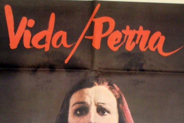 Vida perra