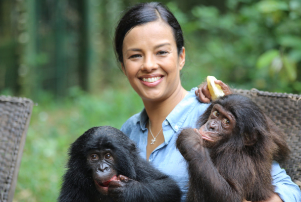 Los animales y el amor