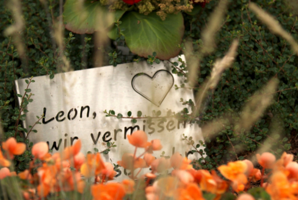 Lobos con piel de cordero