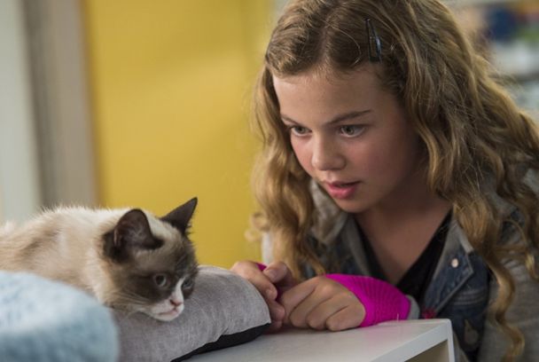 Las peores Navidades de la gata gruñona