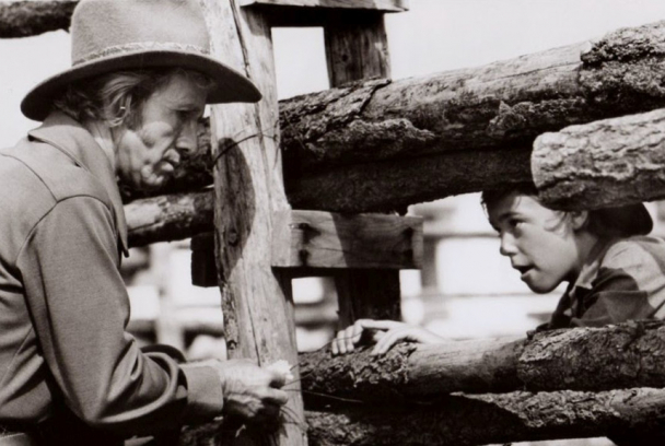 Armas de un forastero