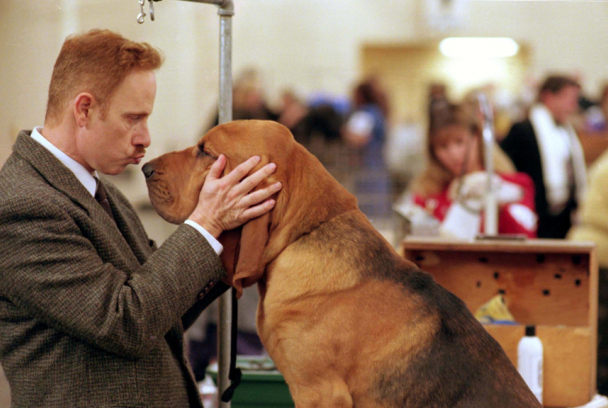 Very important perros