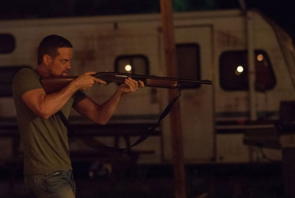 Despertando a Zodiac