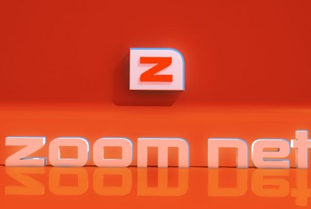 Zoom net